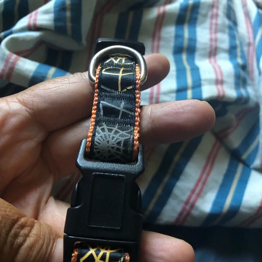 Red Rope and Chain Dog Leash with Orange Collar